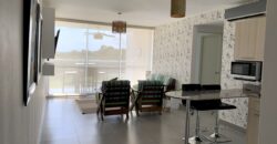 Vendo o alquilo apartamento Amoblado en Punta Barco