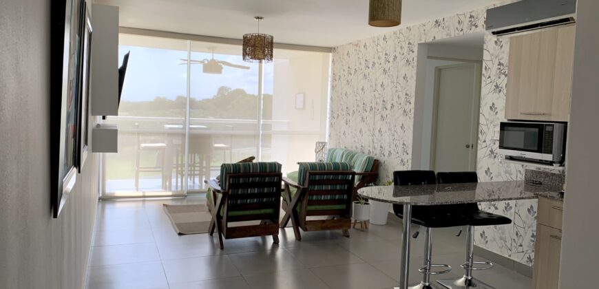 Vendo o alquilo apartamento Amoblado en Punta Barco