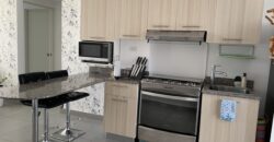 Vendo o alquilo apartamento Amoblado en Punta Barco