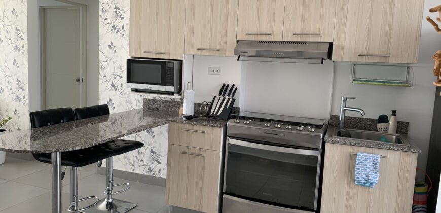 Vendo o alquilo apartamento Amoblado en Punta Barco