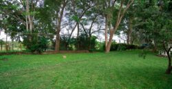 This beautiful, spacious, and airy house with green areas is for sale, negotiable!