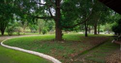 This beautiful, spacious, and airy house with green areas is for sale, negotiable!