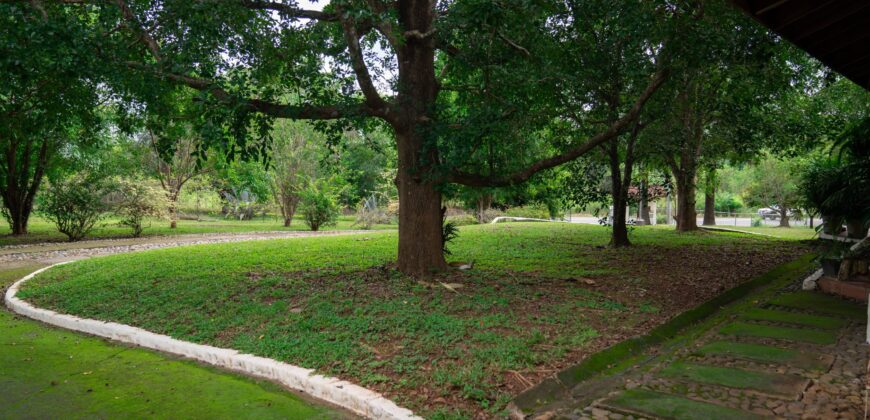 This beautiful, spacious, and airy house with green areas is for sale, negotiable!