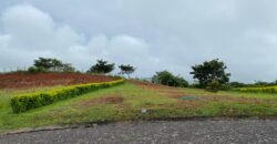 Terreno Vía Valle de Antón