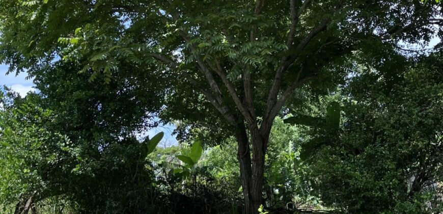 Vendo finca en Las Lajas de Chame