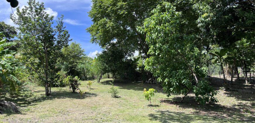 Vendo finca en Las Lajas de Chame