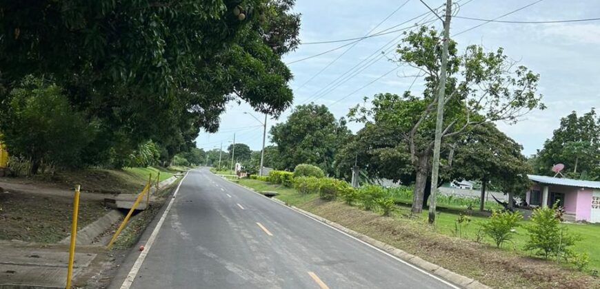 Alquilo finca en Las Guías