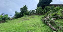 En venta amplia residencia en Los Ángeles