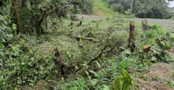 Vendo hermoso terreno en Altos Del María