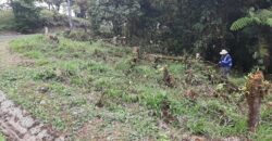 Vendo hermoso terreno en Altos Del María