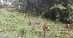 Vendo hermoso terreno en Altos Del María