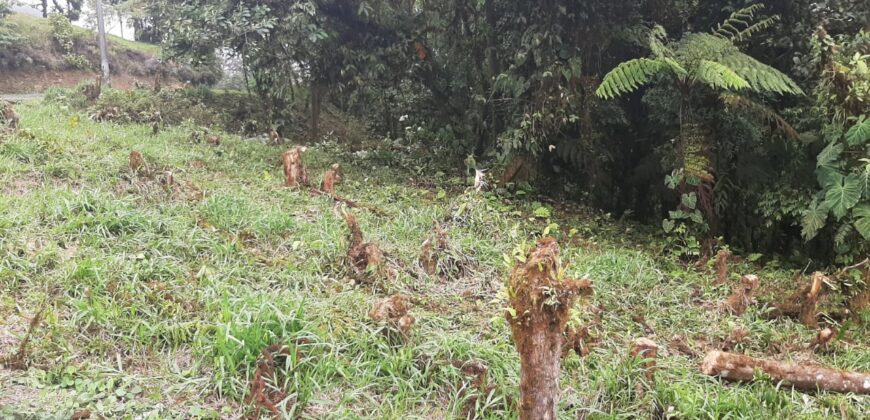 Vendo hermoso terreno en Altos Del María