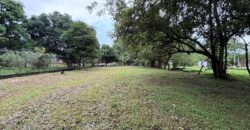 Vendo hermoso, plano, perfectamente rectangular terreno en Playa Gorgona