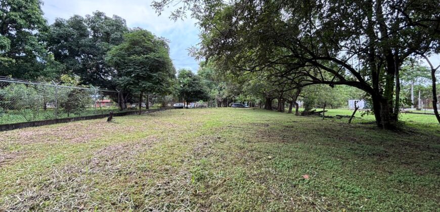 Vendo hermoso, plano, perfectamente rectangular terreno en Playa Gorgona