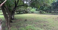 Vendo hermoso, plano, perfectamente rectangular terreno en Playa Gorgona