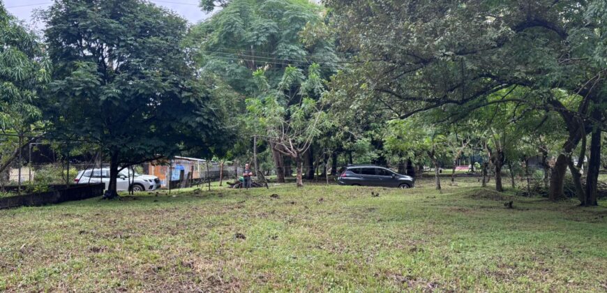 Vendo hermoso, plano, perfectamente rectangular terreno en Playa Gorgona