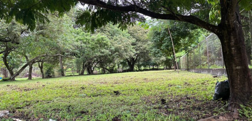 Vendo hermoso, plano, perfectamente rectangular terreno en Playa Gorgona