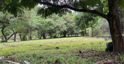 Vendo hermoso, plano, perfectamente rectangular terreno en Playa Gorgona