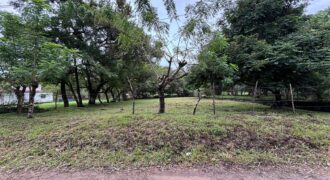 Vendo hermoso, plano, perfectamente rectangular terreno en Playa Gorgona