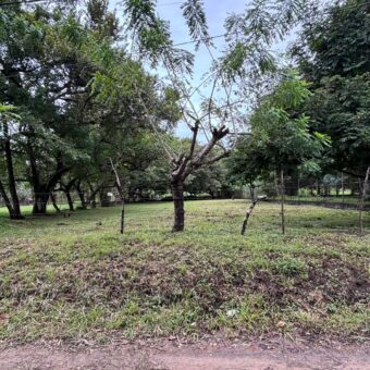 Vendo hermoso, plano, perfectamente rectangular terreno en Playa Gorgona