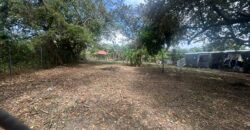 Vendo terreno de playa plano en Nueva Gorgona. Negociable