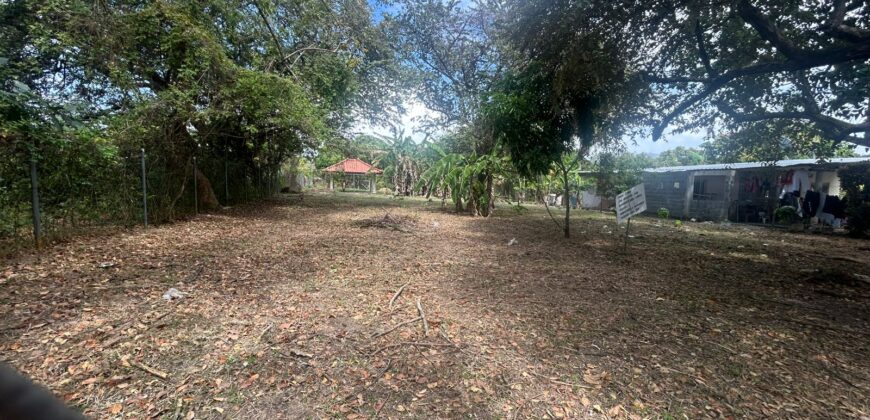 Vendo terreno de playa plano en Nueva Gorgona. Negociable