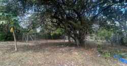 Vendo terreno de playa plano en Nueva Gorgona. Negociable