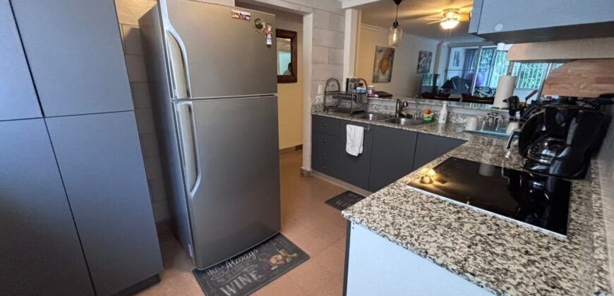 Alquilo céntrico y recién remodelado apartamento en Hato Pintado