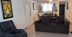 Alquilo céntrico y recién remodelado apartamento en Hato Pintado