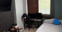 Alquilo céntrico y recién remodelado apartamento en Hato Pintado