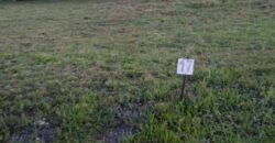 Vendo terreno en el área de Gorgona