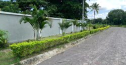 Vendo terreno en el área de Gorgona