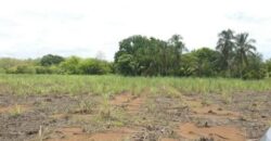 Venta de terreno frente a carretera Panamericana, 8.8 hectáreas cerca a la entrada de Ocú