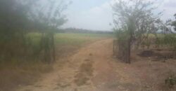 Venta de terreno frente a carretera Panamericana, 8.8 hectáreas cerca a la entrada de Ocú