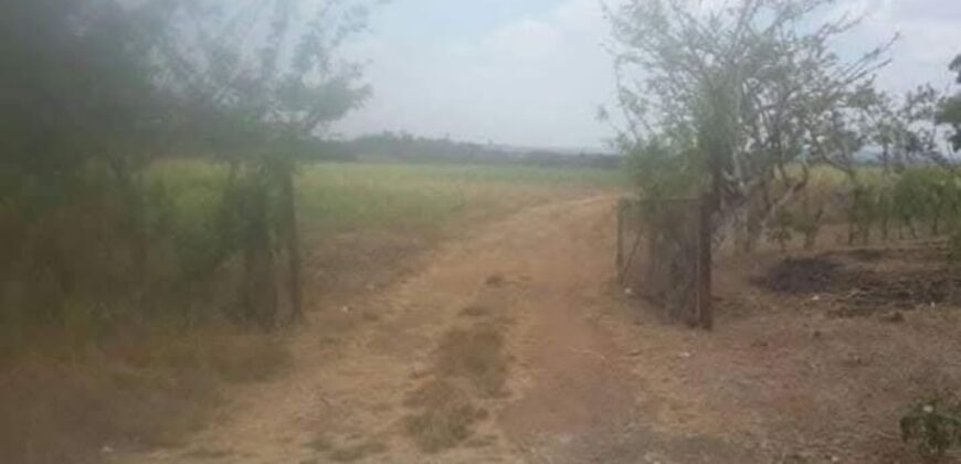 Venta de terreno frente a carretera Panamericana, 8.8 hectáreas cerca a la entrada de Ocú