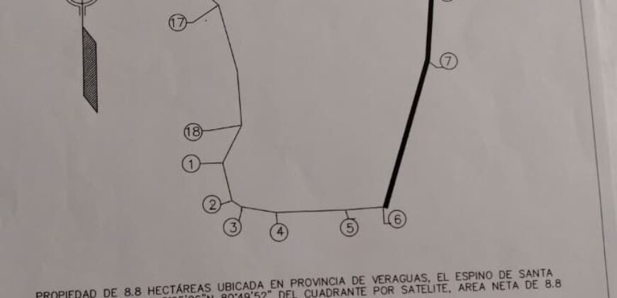 Venta de terreno frente a carretera Panamericana, 8.8 hectáreas cerca a la entrada de Ocú