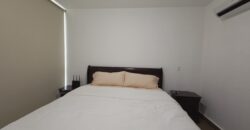 Vendo apartamento en San Francisco PH The Cosmopolitan, piso 6