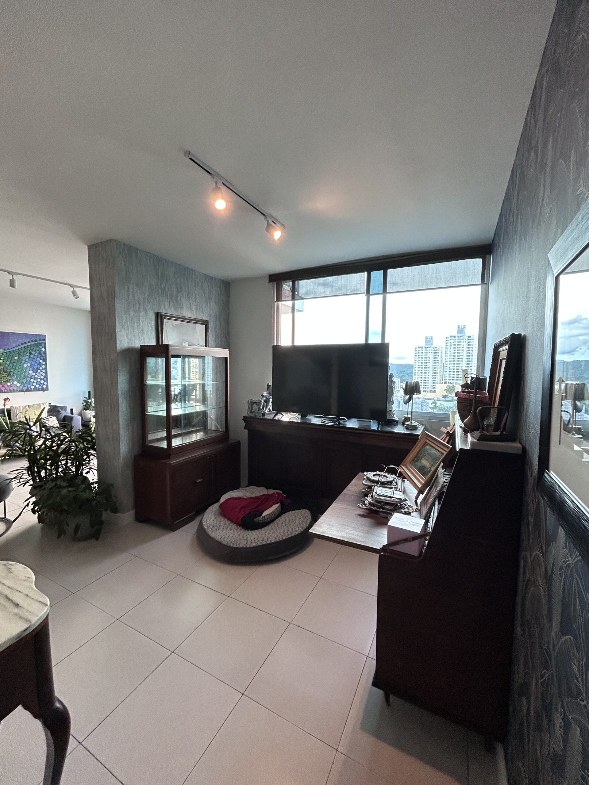 Vendo hermoso, céntrico y amplio apartamento en El Cangrejo